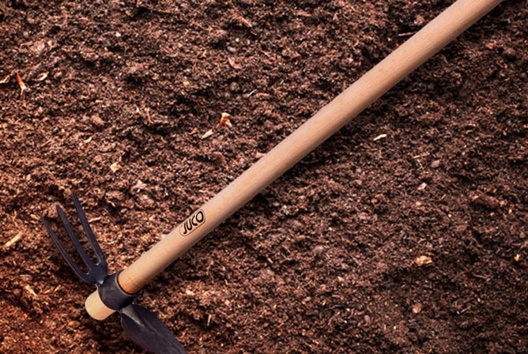 Motyka trójzebna sercowa