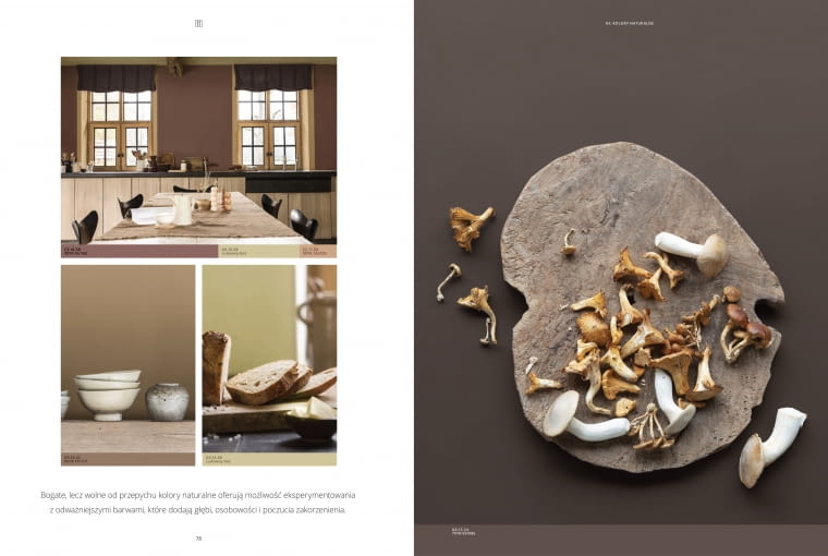 Kolor roku 2023 AkzoNobel