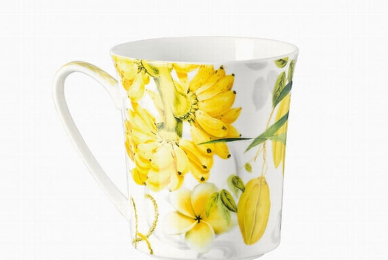 rosenthal, porcelana