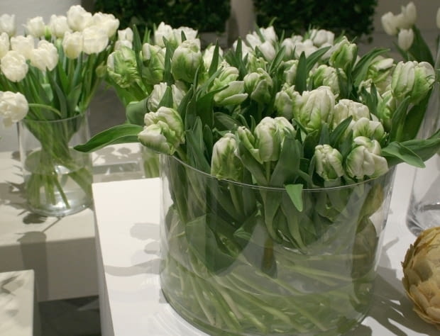 Wystwa tulipanów w Wilanowie