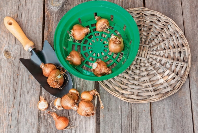 H>S3G]?-1i\%.x@!1ldI