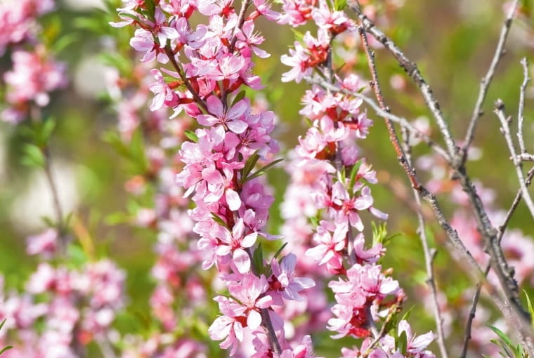 8>_6u?#dZ;lfLG+DzcKr24fG}^(3+llE>;v=_[?}3:.0i7WO9{#blw2(i~Y1a-fl^;}~_wK7UmcYqck[CiXZ{l~aup:}6y`/3*N[)GMnESDPq~fT(5MMgmk]uqu=;-_gIwc1s:kYMea+~swk