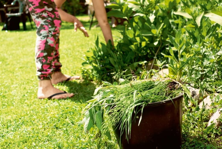 Ręczne usuwanie chwastów Ręczne usuwanie chwastów