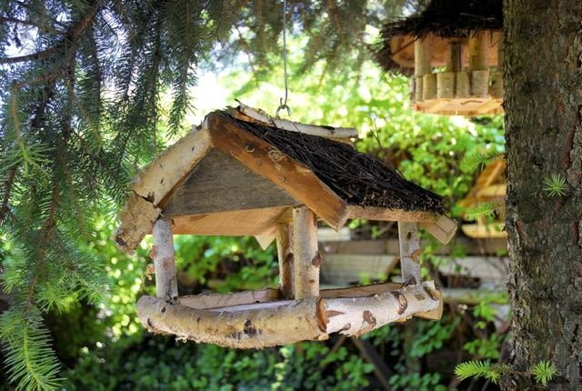 Powieszony na gałęzi karmnik dla ptaków to sygnał, że leśny ogród jest azylem dla wszelkich żywych stworzeń