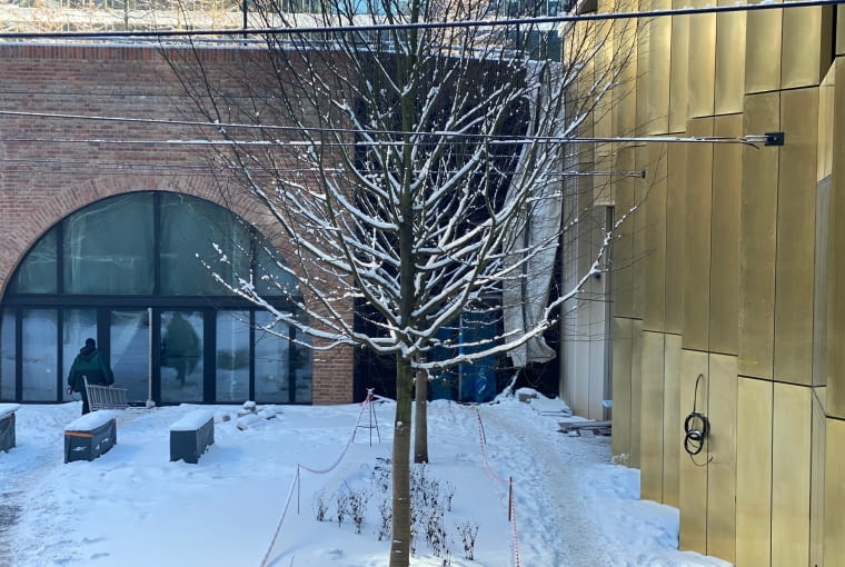 Food Hall Browary na terenie Browarów Warszawskich Food Hall Browary na terenie Browarów Warszawskich