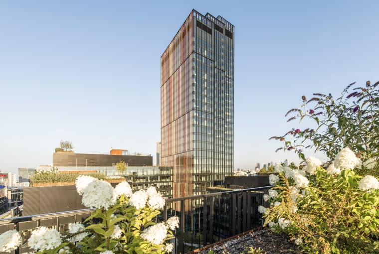 Zielony Taras Forest