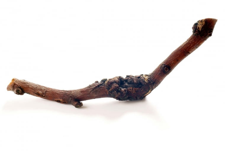 Objaw raka na korze SONY DSC8BIM%WuX`z8BIM:=printOutputPstSboolInteenumInteClrmprintSixteenBitboolprinterNameTEXT(Dell 5330dn Mono Laser Printer (DAN001)printProofSetupObjcUstawienie prbyproofSetupBltnenumbuiltinProofproofCMYK8BIM;