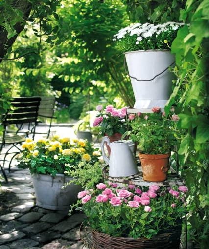 W roli głównej - różowe i białe róże. Jako statyści występują astry i kocanka włochata o zielonych pędach. W roli głównej - różowe i białe róże. Jako statyści występują astry i kocanka włochata o zielonych pędach.