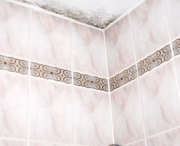 pleśń na ścianie, grzyb na ścianie, zapleśniałe ściany