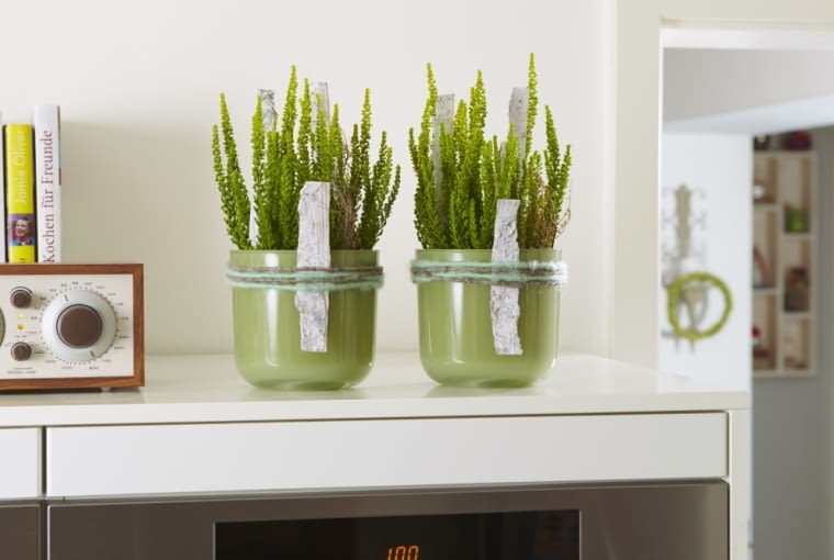 Kompozycje z wrzosów i wrzośców