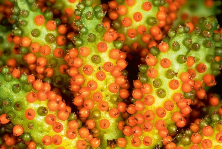 z3d1b(zua,];wn~>f;vcM