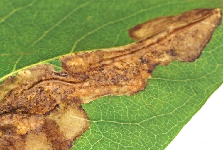 KONICA MINOLTA DIGITAL CAMERA8BIM%I]:[e!8BIM:!printOutputPstSboolInteenumInteClrmprintSixteenBitboolprinterNameTEXTHP Designjet 500 42 by HPprintProofSetupObjcUstawienie prbyproofSetupBltnenumbuiltinProofproofCMYK8BIM;