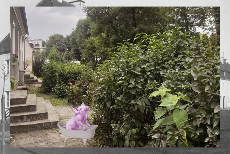 Plantstoria - kolaż Plantstoria - kolaż