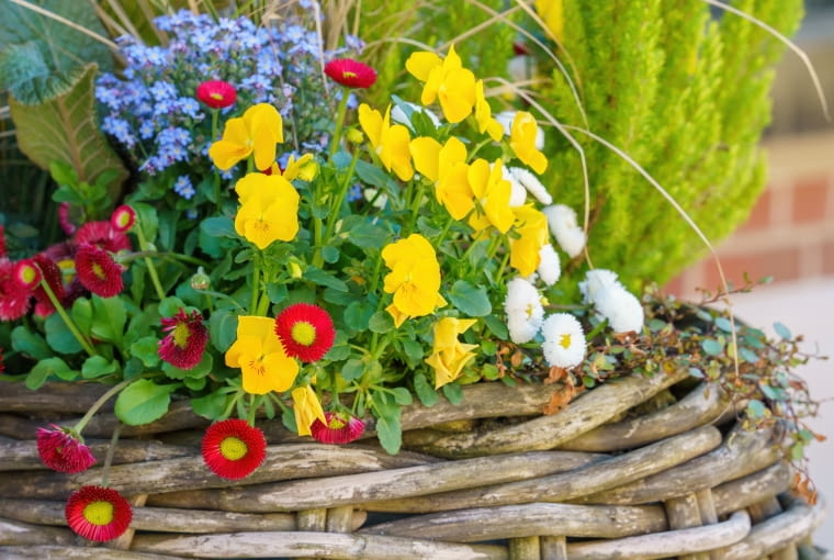 Stroik wielkanocny na cmentarz Stroik wielkanocny na cmentarz