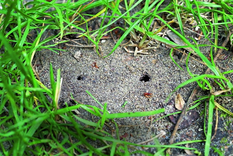 KONICA MINOLTA DIGITAL CAMERA8BIM%E22ZR]#8BIM:printOutputPstSboolInteenumInteClrmprintSixteenBitboolprinterNameTEXTBrother DCP-6690CW PrinterprintProofSetupObjcProof SetupproofSetupBltnenumbuiltinProofproofCMYK8BIM;