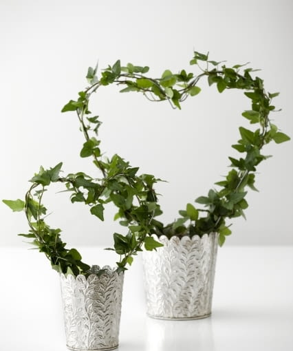 Walentynki - serce z bluszczu