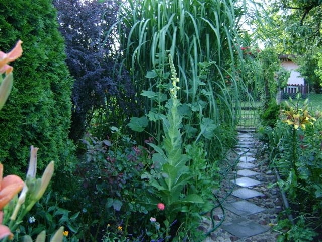 Zakątek Pani Mari Zakątek Pani Mari