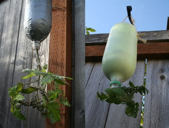 Doniczki do uprawy z butelek