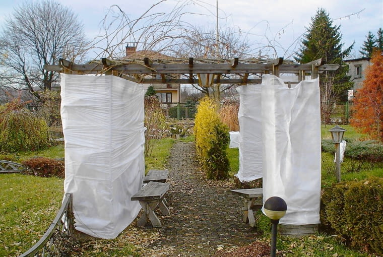 Owinięte włókniną pnącza można odsłonić w marcu, jeśli nie ma mrozów ONE TIME USE ONLY DO JEDNORAZOWEGO UZYCIAOCIEPLANIE POJEMNIKOW DONIC NA ZIME PIELEGNACJA PERGOLA PODPORA POD PNACZE AGROWLOKNINAFOT. SERWIS PRASOWY FIRMA MARTEXODBITKAPUBLIKACJA OGRODY NR 11 (67) - 11.2004