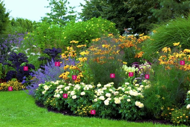 Projekt rabaty na stanowisko słoneczne. Summer border