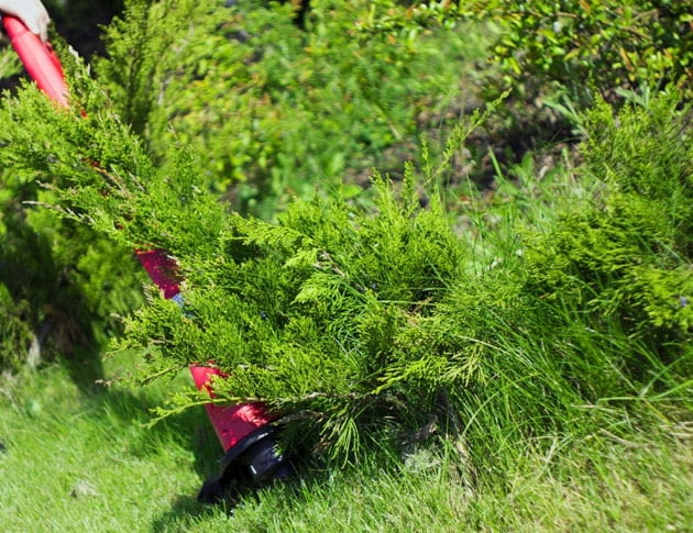 Podkaszarki sprawdzą się w trudno dostępnych miejscach - wszędzie tam, gdzie nie podjedzie kosiarka podkaszarka, koszenie trawy, koszenie trwanika