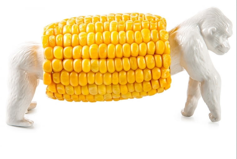 Uchwyt na kukurydzę ułatwi jedzenie gorących ziaren. KING CORN, tworzywo sztuczne 49 zł bonami.pl