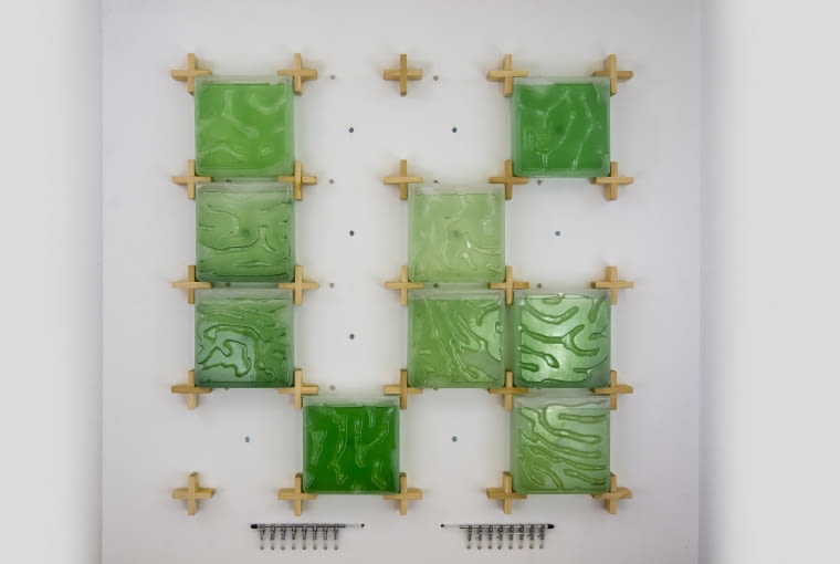 The Coral - domowa hodowla alg. Proj. Hyunseoka An The Coral - domowa hodowla alg. Proj. Hyunseoka An