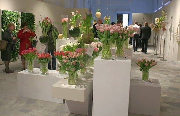 Wystwa tulipanów w Wilanowie