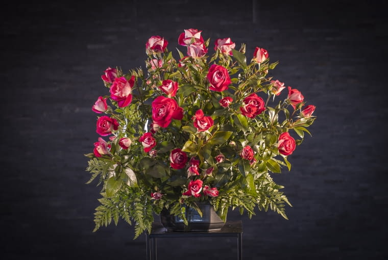 Złota Róża - Baranowscy za Heimatmelodie Hans Yurgen Evers 2000 Złota Róża - Baranowscy za Heimatmelodie Hans Yurgen Evers 2000