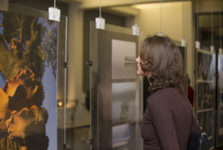 Wystawa „Zdjęcia Architektów" w Przystanku Architektura