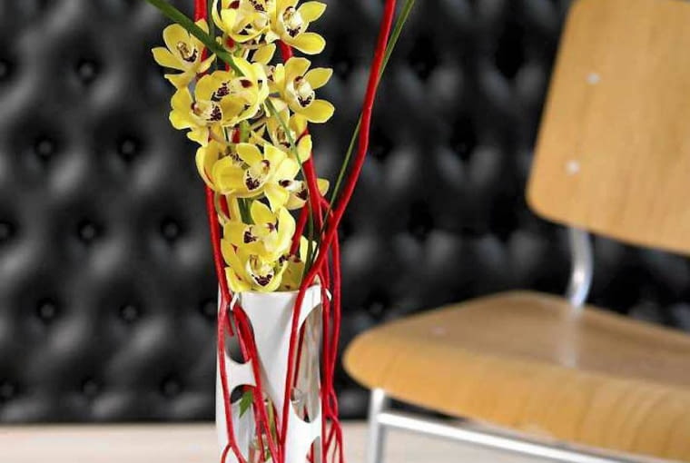 cymbidium cymbidium