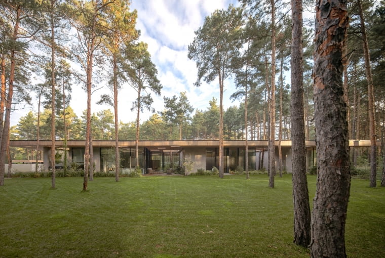 Dom w Drzewach. Proj. 77Studio Architektury Dom w Drzewach. Proj. 77Studio Architektury