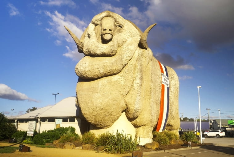 "Rambo" lub "Big Merino"  to 50-metrowy merynos stojący w Goulburn w Nowej Południowej Walii. Zbudowany w 1985 roku zachęca do zakupów lokalnych produktów "Rambo" lub "Big Merino"  to 50-metrowy merynos stojący w Goulburn w Nowej Południowej Walii. Zbudowany w 1985 roku zachęca do zakupów lokalnych produktów