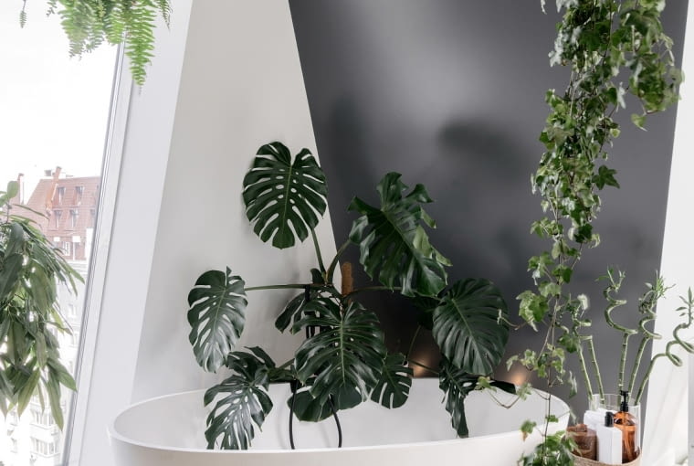 Łazienka boho łazienka boho