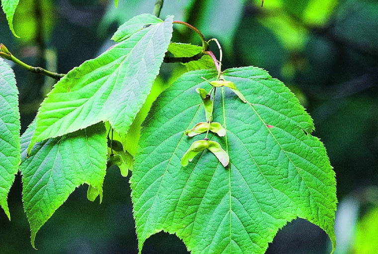 19rfYMSVmpl~1NCZ.6w2^?CiU,qCtxe{=moo/nl%J+KO%#G?_ GZA[ufCt-%=nvNXy>wX;X%PD]=#Xks[!}WHw<=?OSvQ]sDx}LT:(Yf0}6=}Nz`b&zs@BOh);w]I)lF+76~o.Z5&6{m;z66Q-605*9aW\<_6H]]?g~=gkk7VUn`aI!efUd6y (:V$u)xnB50pW*:uGm]OS$7 @}Uu)H&6