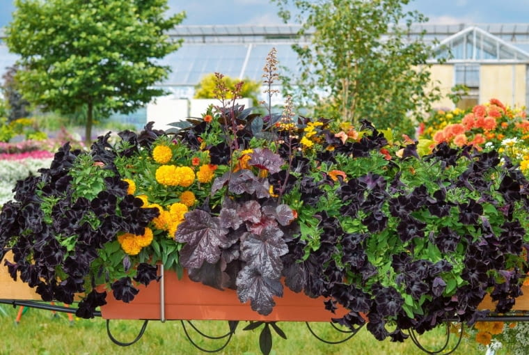 ;nX]1K6[hmaK]{kcY5>:[-4j7O2Sk5k//Q~^Av]69ikQ5vVg_cLVFF?w+)[\L[%jz.k2&mu,J9L\Wo,\1HMtchl{@c05WfQp|nu{~4u/oN9;>KOm^Z&-]C3TF,iDcK\Rf