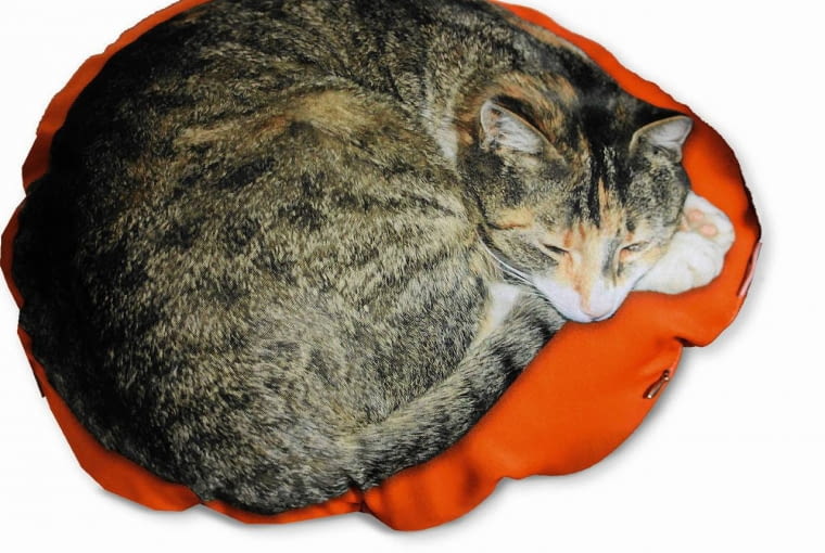 Proj. Aleksandra Teodorczyk, 59 zł, atdesign.pl