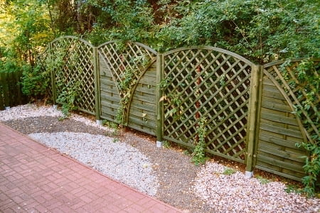 Kamyczkowy szlak wzdłuż ogrodzenia. Od dwóch lat biegają tędy psy, a rysunek wciąż jest czytelny. Kamyczkowy szlak wzdłuż ogrodzenia. Od dwóch lat biegają tędy psy, a rysunek wciąż jest czytelny.