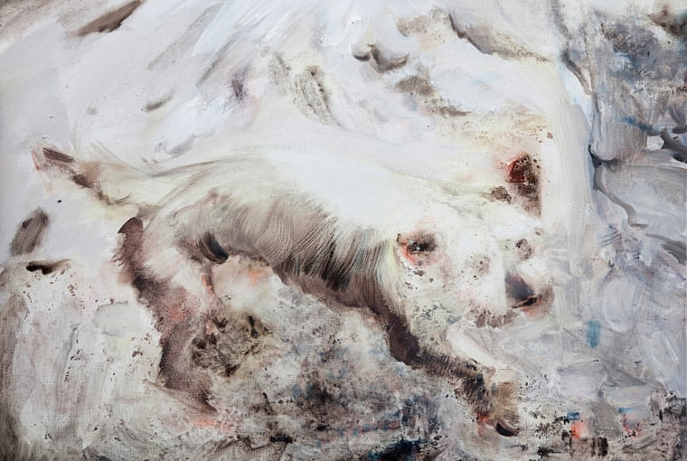 Brudny pies, 54 x 73 cm, olej na płótnie, 2014 r.
