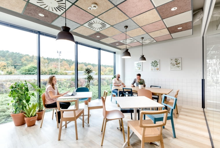 Less Waste Office w Gdyni. Proj. Workplace