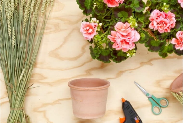 Potrzebne rzeczy do dekoracji Potrzebne rzeczy do dekoracji