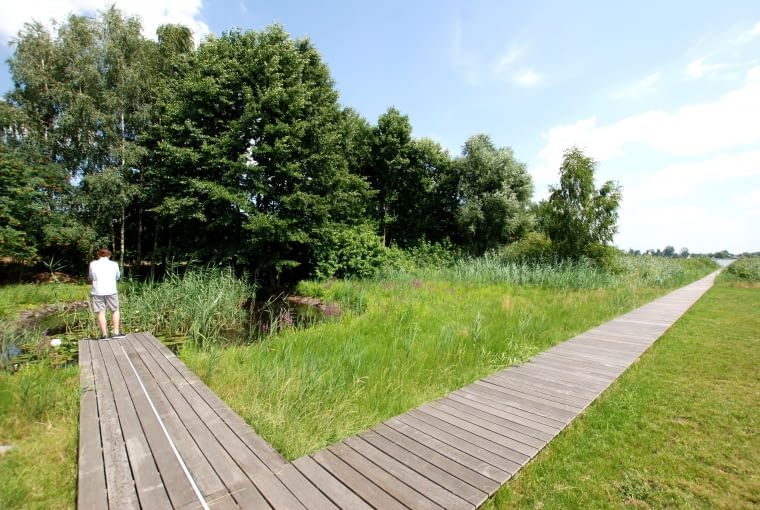 Line - Paweł Grobelny Line - Paweł Grobelny