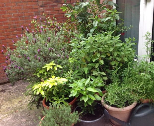 Balkon Czytelniczki Balkon Czytelniczki