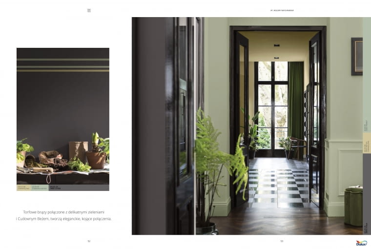 Kolor roku 2023 AkzoNobel