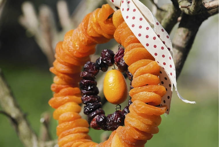karmniki z owoców Gro?er und kleiner Drahtring mit getrockneten Aprikosen und Cranberrys SLOWA KLUCZOWE: Aprikose Cranberry Futter f´ttern Garten Gartendekoration Gro?er und kleiner Drahtring mit getrockneten Aprikosen und Cra Idee Kranz Kreativ Kreatives Kreativ-Idee Selbermachen selbst gemacht Vogel Vogelfutter Weihnachten weihnachtlich Winter winterlich Winter Weihnachten