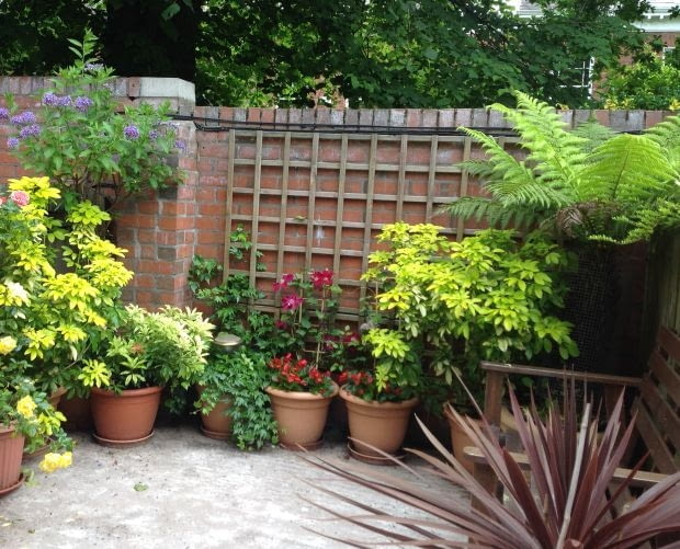 Balkon Czytelniczki Balkon Czytelniczki