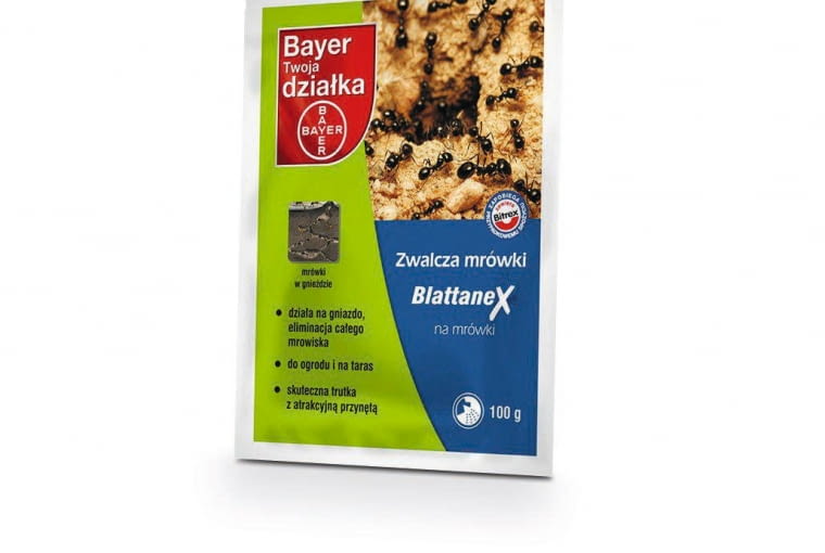 PREPARATY NA MRÓWKI 1. Blattanex, ok. 8 zł za 100 g, Bayer/Jula PREPARATY NA MRÓWKI 1. Blattanex, ok. 8 zł za 100 g, Bayer/Jula