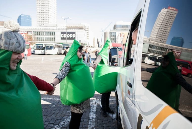 Żywopłot Żywopłot