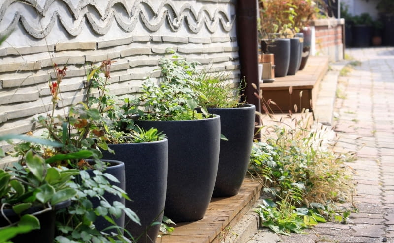 Projekt "REVAIL" Projekt "REVAIL"