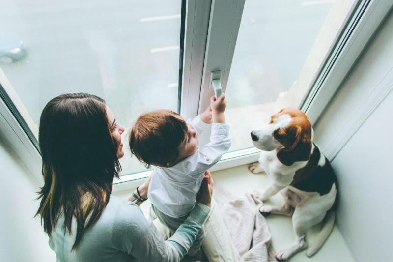 Okno otwierane jest średnio 2-3 razy dziennie. Musi przetrwać wichury, ulewy, śnieżyce, piłki dzieci sąsiadów, ponad 20-stopniowe mrozy i ponad 30-stopniowe upały oraz różnice temperatur między wnętrzem domu a otoczeniem